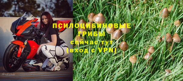 ешки Медвежьегорск