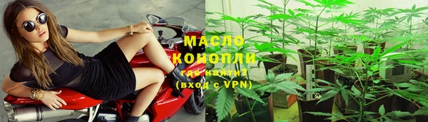 СК Медногорск