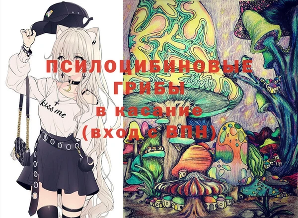 ешки Медвежьегорск