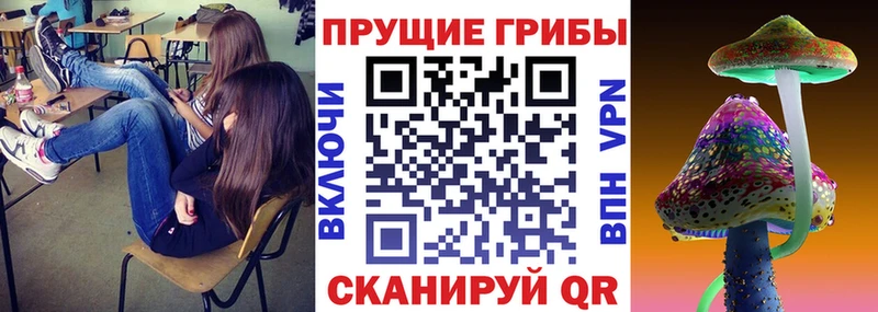 Псилоцибиновые грибы GOLDEN TEACHER  где найти   Монино 